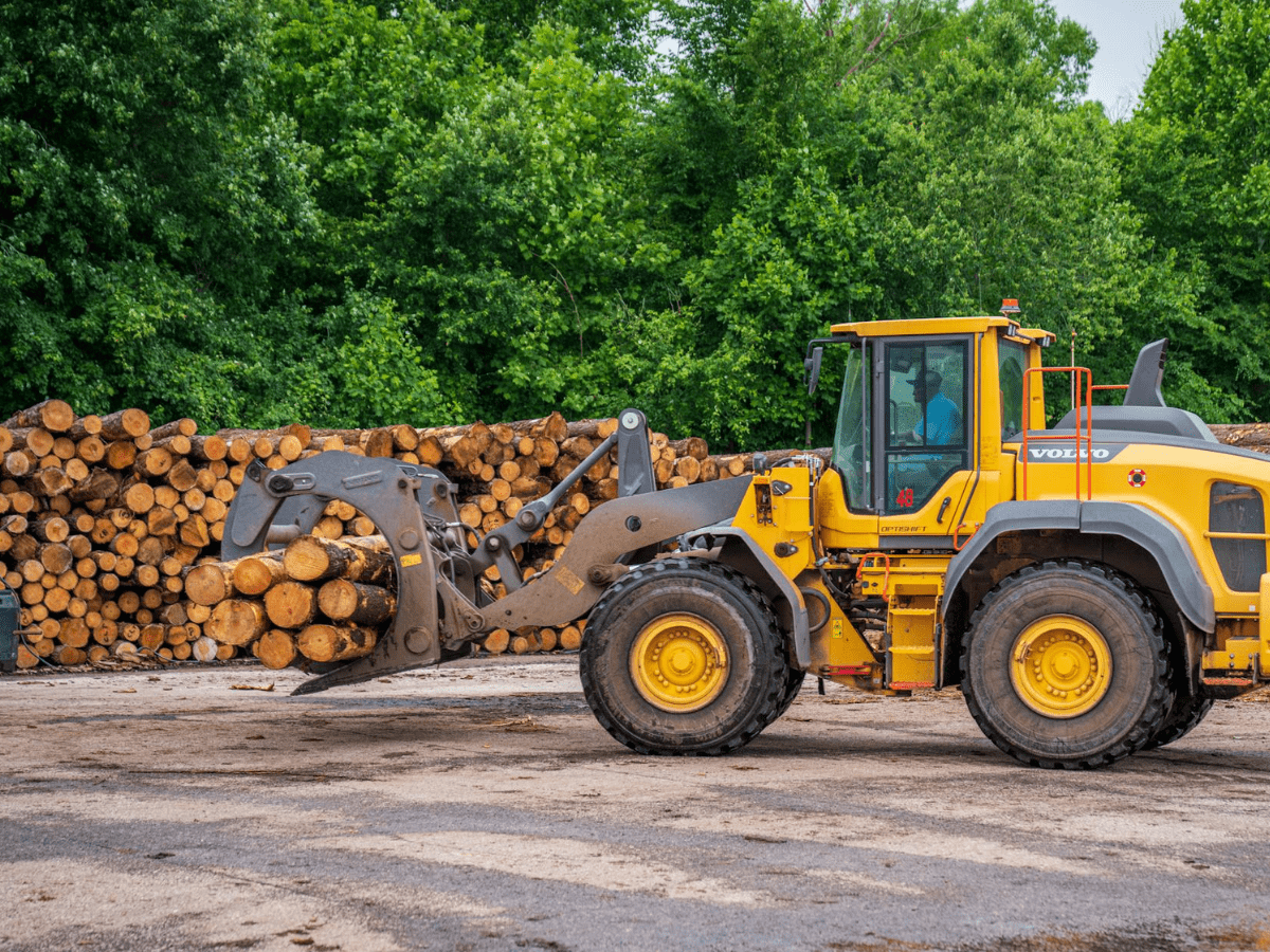 FORESTRY VolvoCarryingLogs