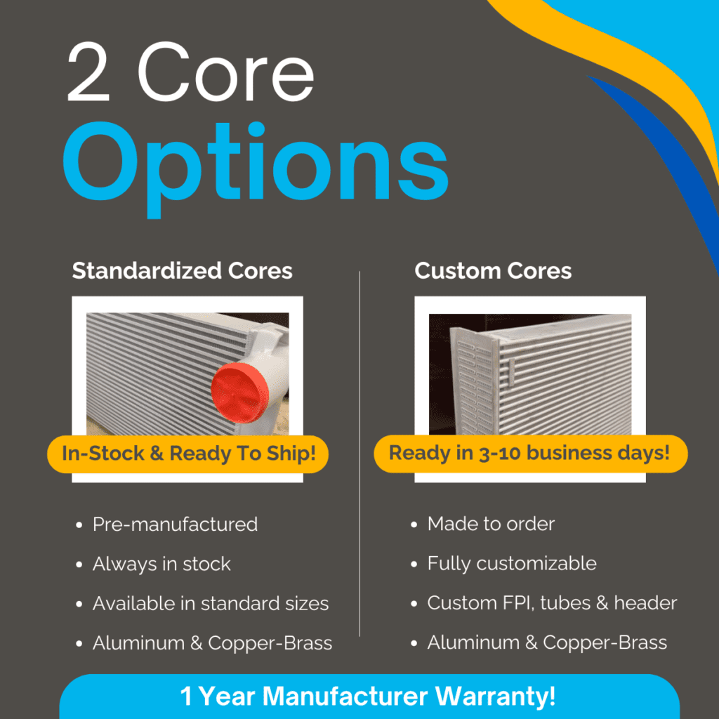 2 Core Options Standardized vs. Custom